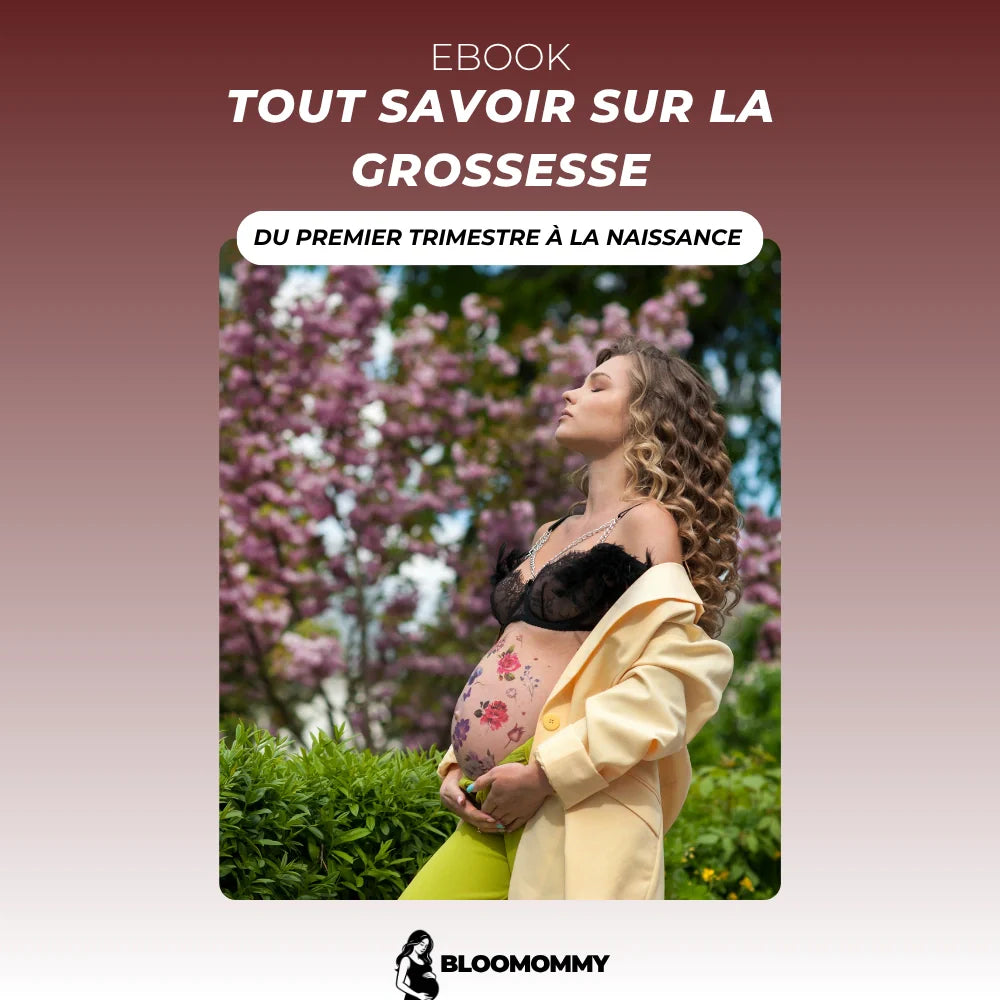E-Book grossesse